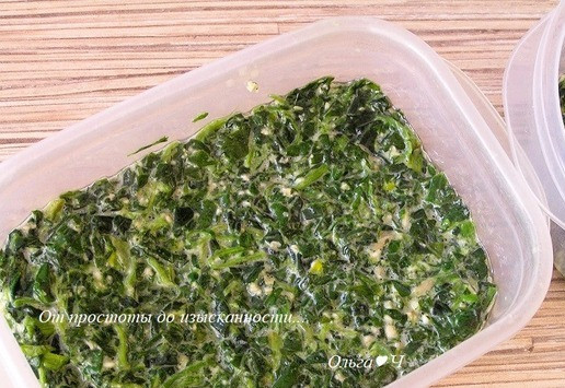 1. Этап. Мусс из лосося со шпинатом: У меня 2 небольших контейнера.