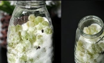 1. Этап. Вино без дрожжей: В банки выкладываем виноград, засыпаем его сахаром и добавляем специи.