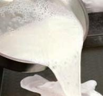 1. Этап. Глазунья из абрикосов: Поместить желе на плоское блюдо небольшим слоем в 1/2 см. Дать застыть и затем вырезать из него 4 похожих овала длиной 8 см и шириной 4 см.