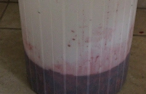 1. Этап. Рецепт малинового вина: Установите гидрозатвор на тару. Оставьте сусло бродить на 10 дней в тёплом месте без солнечного света. Раз в сутки массу перемешивайте.