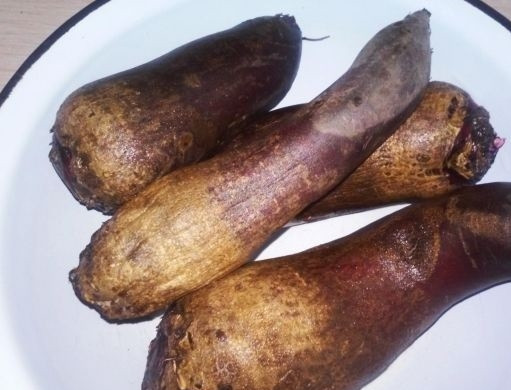 1. Этап. Салат из вареной свеклы с сыром: 1. Вымойте свеклу и поставьте варить до мягкости. Лучше всего сделать это заранее.