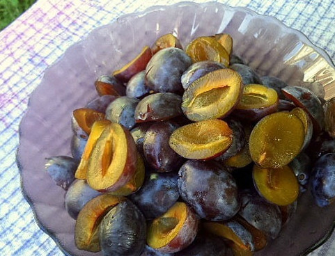 1. Этап. Аджика со сливами: Ну что ж, у меня получилось примерно 4 кг. слив. Теперь их нужно помыть, затем достаньте из них косточки. Лучше всего это делать вручную, если сливы мягкие. Если жесткие, то без ножа не обойтись.