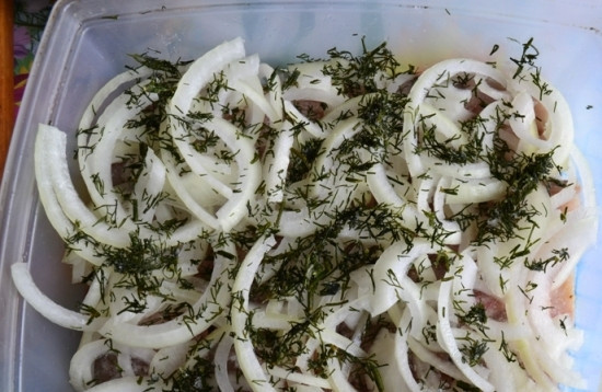 1. Этап. Засолка скумбрии Сагудай: Лук посыпаем мелко нарезанным укропом. И снова делаем слой из рыбы - слой соль, перец, сахар - слой лук, укроп. И добавим еще лавровый лист.