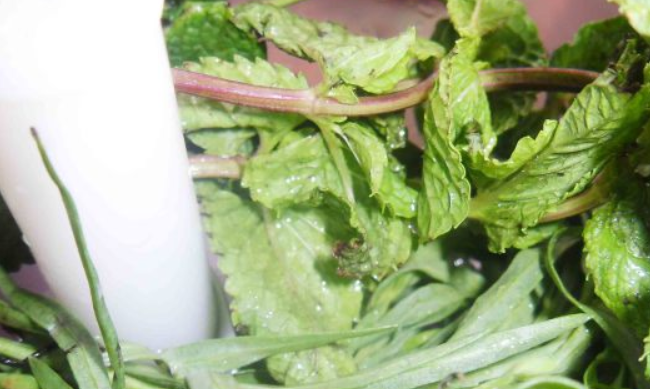 1. Этап. Зеленый коктейль с лимоном: При помощи блендера измельчаем мяту и тархун.