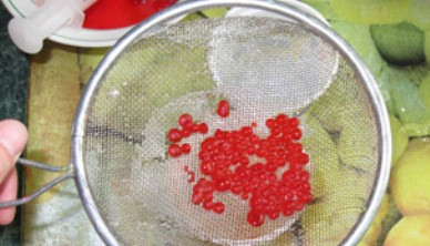 1. Этап. Икра из желатина для торта: Наполняем полстакана икринками и затем процеживаем через дуршлаг. Масло ставим в морозилку - остывать для следующей порции икры, а желатиновую икру промываем под холодной водой, быстро подсушиваем на салфетку и выкладываем на тарелку. Готовую икру ставим в холодильник.