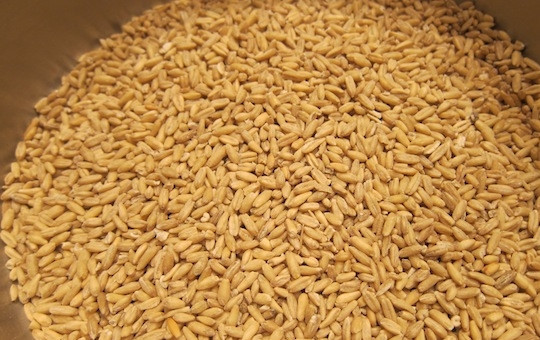 1. Этап. Овсяная крупа: 1. Промойте овсяную крупу и выложите ее в кастрюлю. Влейте 1,5 стакана воды, посолите и отправьте все на огонь, после закипания варите на слабом огне около получаса. Снимите кастрюлю с огня, но не открывайте крышку, оставьте на некоторое время.