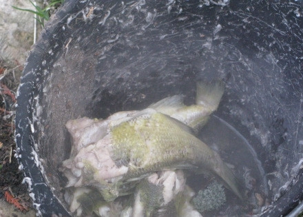 1. Этап. Уха на природе: Из бульона уберите мелкую рыбу, лук и чеснок (они больше не понадобятся). Бульон проверьте на соль.