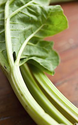 1. Этап. Желе из свежих киви с ревенем: 2. Помыть и мелко порезать побеги свежего зеленого ревеня.