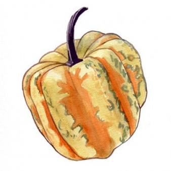 Pumpkin Seeds Adobadas