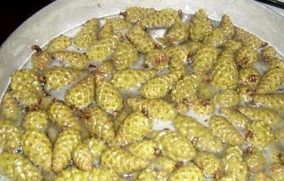 1. Этап. Сироп из сосновых шишек: Итак, промываем шишки и выкладываем их в кастрюлю, заливаем теплой водой и оставляем на 10 минут, затем воду сливаем.