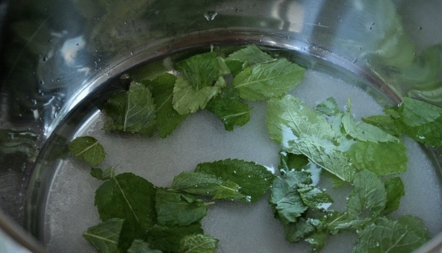 1. Этап. Тархун домашний: Первым делом берем небольшую кастрюльку. В неё вливаем воду, кладем сахар и мяту. Содержимое кастрюли доводим на плите до кипения и провариваем, помешивая, минуты три. Затем снимаем кастрюлю с плиты и оставляем постоять ещё пару минут.