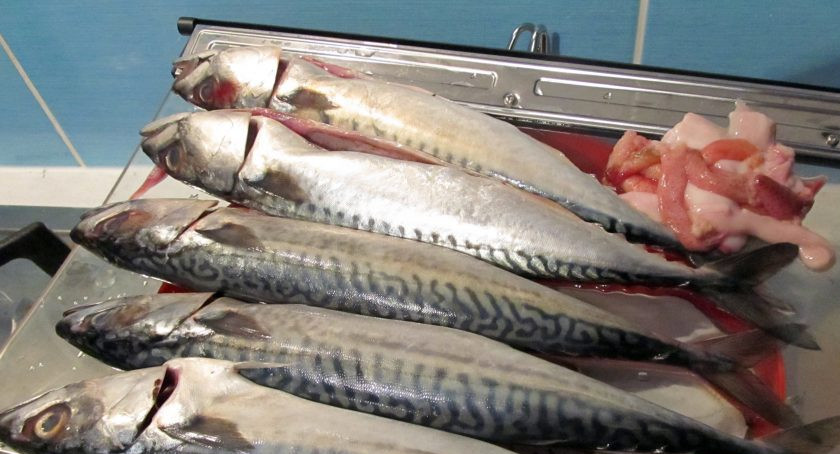 1. Этап. Фаршированная скумбрия Идиллия: 1. Очистите скумбрию от внутренностей, оставьте голову и промойте ее хорошенько внутри и снаружи.