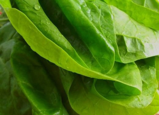 1. Этап. Салат из куриной грудки: Шпинат моем и просушиваем бумажным полотенцем.