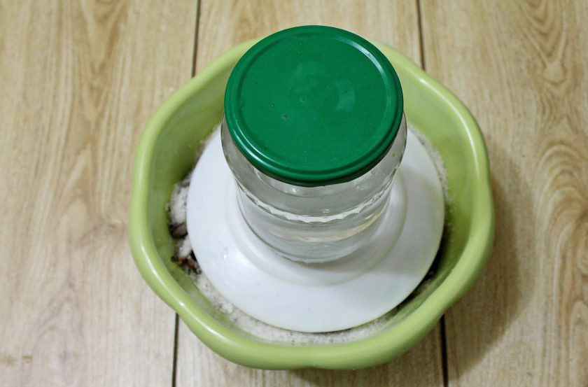 1. Этап. Таранка из окуня: Засыпьте верхний слой солью, выложите сверху тарелку и положите груз.