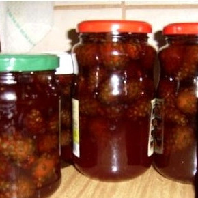 Сироп из сосновых шишек