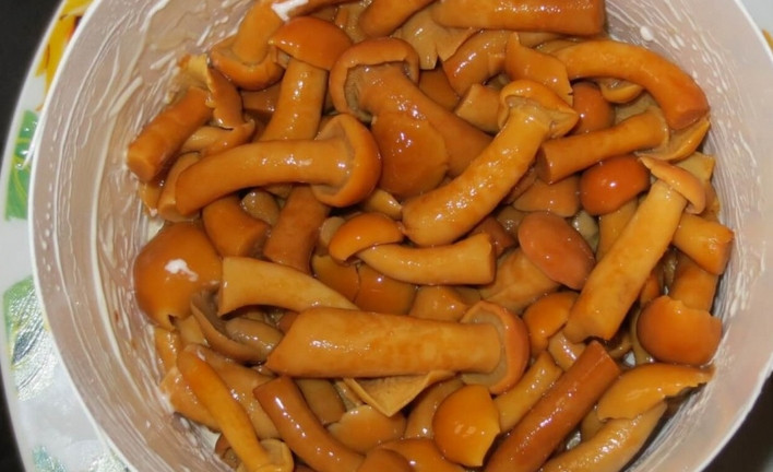 1. Этап. Салат из курицы с корейской морковью: Теперь кладем половину от общего количества маринованных опят. Смазываем их майонезом.