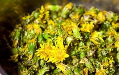 1. Этап. Варенье из одуванчиков на зиму: Заливаем холодной водой и оставляем минут на 30 - пусть выползут все жучки-паучки, которых мы уберем.