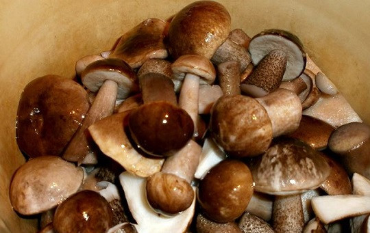 1. Этап. Подберезовики на зиму: В первую очередь промываем и очищаем подберезовики от лесного мусора.