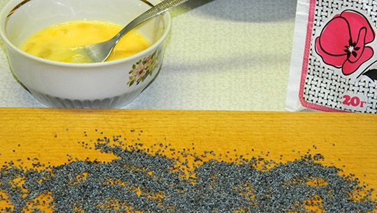 1. Этап. Печенье с сыром: Взбиваем яйцо, на стол или доску насыпаем мак.