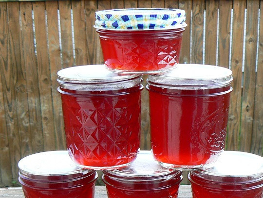 1. Этап. Cироп в домашних условиях: 10. При желании горячий сироп можно разлить по стерилизованным баночкам и заготовить на зиму.