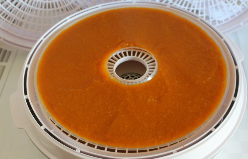 1. Этап. Пастила из тыквы: Тыквенное пюре выкладываем на противень для пастилы и отправляем в электросушилку. Готовим при температуре 60 градусов около 6 часов.