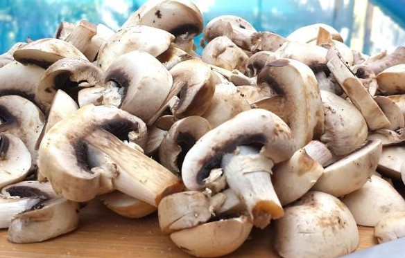 1. Этап. Грибы со сливками: Порежьте грибы пластинкам.