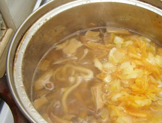 1. Этап. Грибная лапша из сушеных грибов: Добавляем зажарку из моркови и лука, варим еще 5 минут. Соль по вкусу.