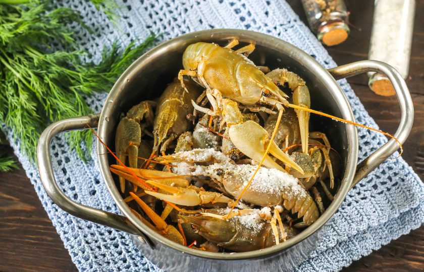 1. Этап. Вареные раки с укропом: Всыпьте соль и горошины черного перца. Не путайте черный перец с душистым - он придаст горьковатый привкус. По желанию, соли можете добавить чуть больше.