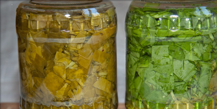 1. Этап. Щавель на зиму в банках: Храним щавель до зимы в прохладном и темном месте. Приятного аппетита!