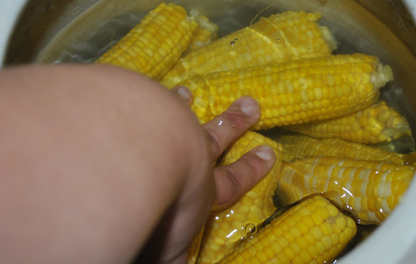 1. Этап. Консервированная кукуруза в початках на зиму: 5. Посолите воду и хорошенько размешайте до растворения соли. Остывшие початки, тем временем, выложите в бочку или огромную посудину. Воду остудите и залейте кукурузу в бочке. Вода должна покрывать початки.