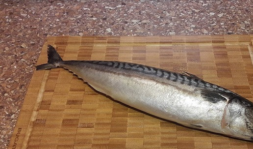 1. Этап. Скумбрия домашнего посола к 23 февраля: Скумбрию выбираем большую, жирную, плотную. Ополоснуть, разморозить не до конца