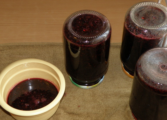 1. Этап. Варенье из смородины без воды: Готовое варенье раскладываем по теплым стерилизованным баночкам и плотно закрываем их крышками. Переворачиваем банки вверх дном, накрываем теплым одеялом и оставляем так до полного остывания.