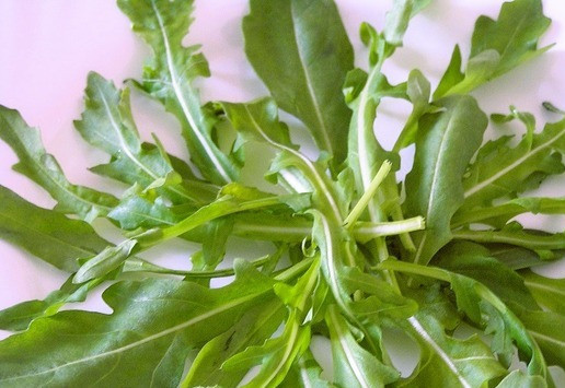 1. Этап. Салат Цезарь с семгой: Листья рукколы промойте, обсушите, разложите по тарелкам, полейте немного соусом.