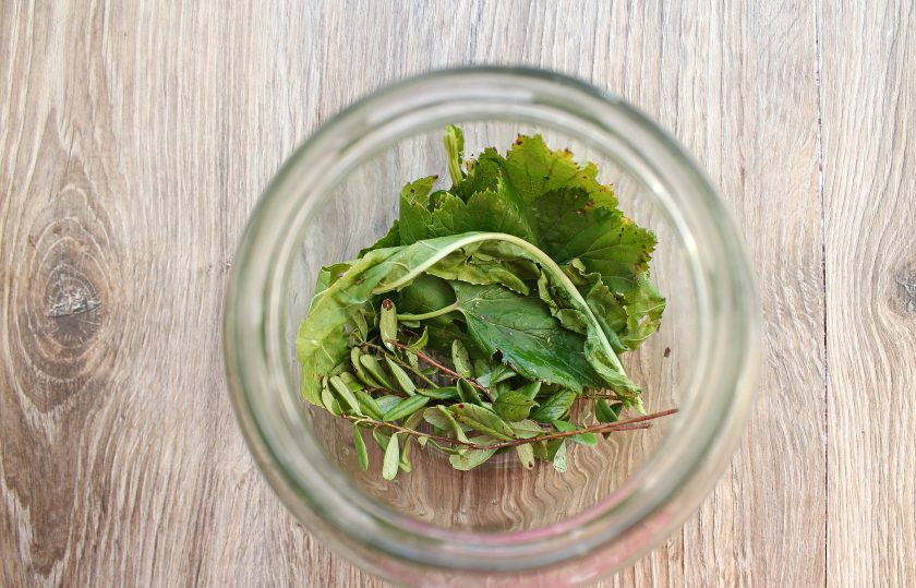 1. Этап. Моченые яблоки с брусникой: Банку, желательно с широким горлышком, тщательно вымойте горячей водой и содой, сполосните. На дно выложите половину листьев смородины и веточек брусники.