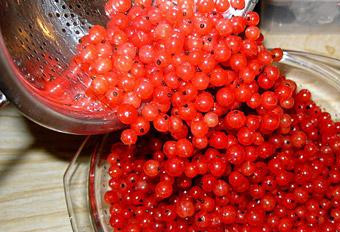 1. Этап. Желе из красной смородины: Хорошенько вымываем нашу красную смородину, откидываем ее на дуршлаг.