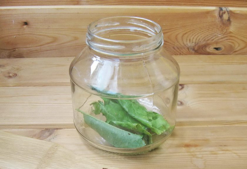 1. Этап. Помидоры с болгарским перцем на зиму: Помойте укроп, листья хрена, смородины и вишни. Банки простерилизуйте и выложите на дно листья хрена.