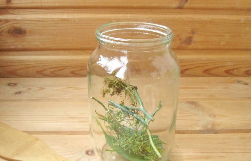 1. Этап. Кабачки со сливами на зиму: В стерилизованную банку выложите укроп и лист вишни.