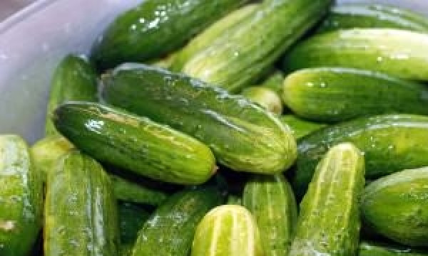 1. Этап. Маринованные огурцы без стерилизации: Огурцы вымочить в воде пару часов, если они не только с грядки!