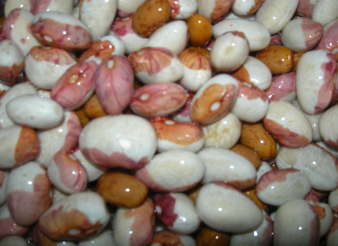 1. Этап. Лобио с грибами: Отвариваем фасоль в кастрюле с водой.