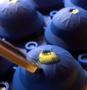 1. Этап. Сферические смузи-снежки из киви: Важно: А) При заливании до верху с помощью шприца, старайтесь оставлять небольшую щель, через которую выходит воздух. Б) А теперь игра 