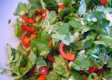 1. Этап. Азу из конины по татарски: Моем и мелко нарезаем зелень кинзы, добавляем измельченные чеснок и перец чили. Перемешиваем. Этой смесью посыпаем азу на тарелке.