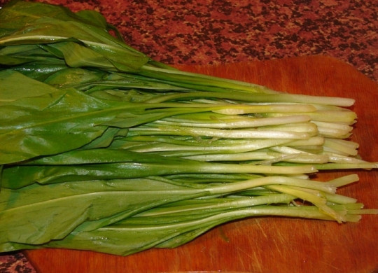 1. Этап. Салат из листьев чеснока: Зелень чеснока и лука хорошо вымыть и обсушить.
