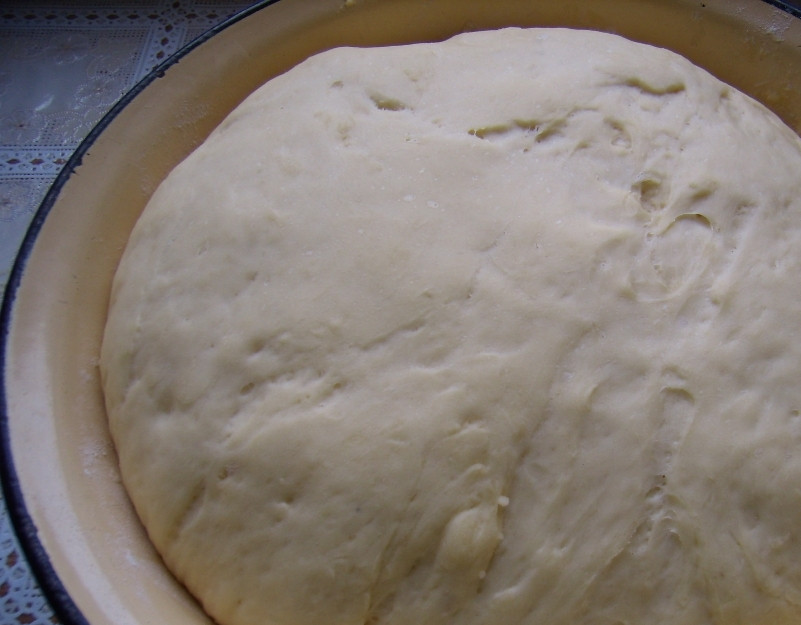 1. Этап. Тесто для сосисок в тесте: Тесто дрожжевое, дайте ему подойти. Потом добавляйте оставшуюся муку. Замесите уже плотное тесто. Вот и все! Можете приступать к выпечке сосисок в тесте. Приятного аппетита!