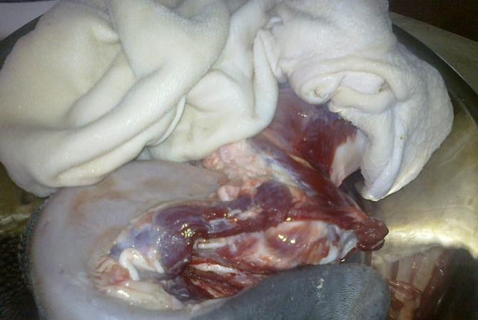 1. Этап. Хаш из требухи: Обдайте кипятком желудок, почистите его до белого цвета.