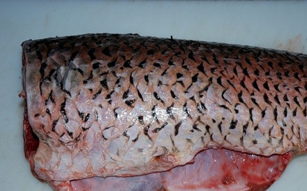 1. Этап. Сазан жареный с луком: 1. Сперва нужно подготовить рыбку - выпотрошить, очистить от чешуи, удалить хвост и голову, как следует промыть.