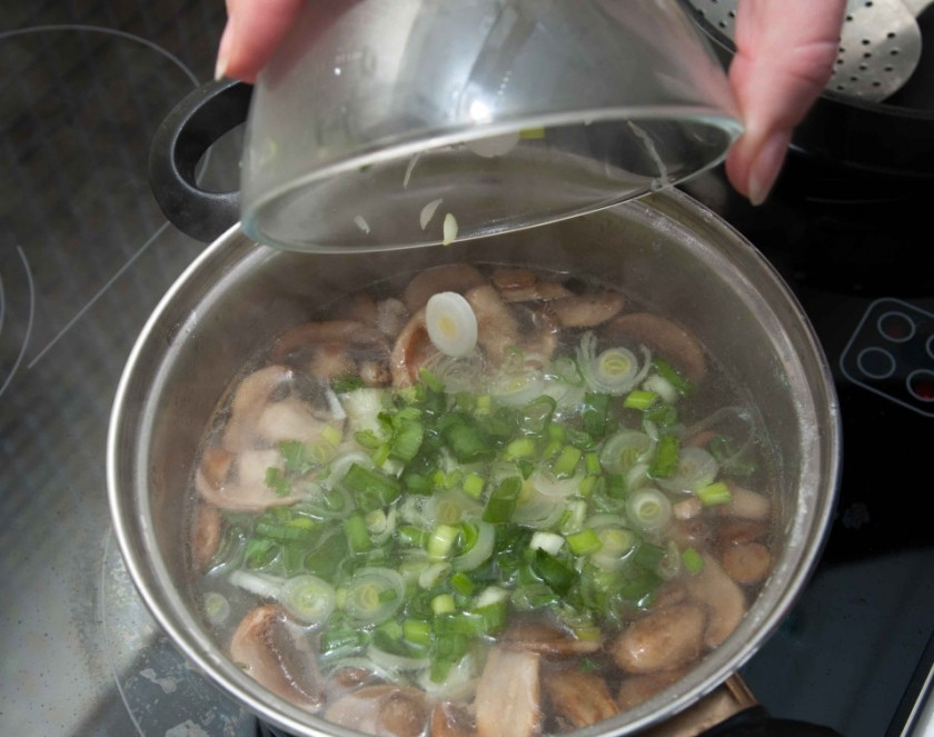 1. Этап. Паста с куриной грудкой: В бульон с курицей добавьте морковь, грибы и зелень и проварите до мягкости моркови. Отваренную пасту выложите на тарелку, полейте бульоном с мясом и овощами и подавайте на стол.