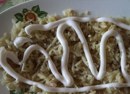 1. Этап. Салат со свеклой и свининой: 4. Порежьте соленые огурцы на небольшие брусочки. Очистите от кожуры картофель, натрите его на терке. Очистите лук, порежьте его брусочками. Залейте водой с уксусом. Дайте отстояться четверть часа. Первым слоем на блюдо положите лук. Накройте его мясом и майонезной сеточкой. Следующим слоем уложите картофель, покройте его рисунком майонеза.