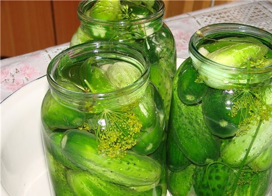 1. Этап. Маринованные огурцы без стерилизации: Банки наполнить зеленью и огурцами, залить кипятком на 10 минут.