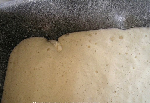 1. Этап. Фламандский хлеб с малиной: Затем добавьте опару.