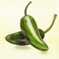 Garlicky Chile Pickles